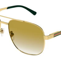 GUCCI GG1223S