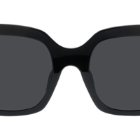 Celine CL40198F