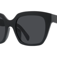 Celine CL40198F