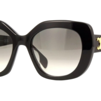 CELINE CL40226U