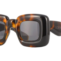 LOEWE LW40098I