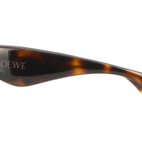 LOEWE LW40098I
