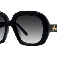 LOEWE LW40113U