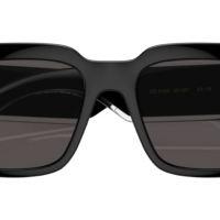 DOLCE & GABBANA DG6184