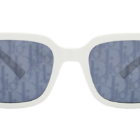 DIOR B27