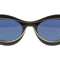 DIOR DiorMeteor B1I