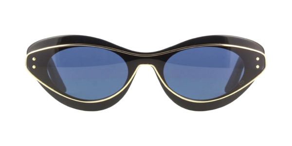 DIOR DiorMeteor B1I