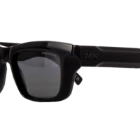 DIOR DiorXplorer S2I