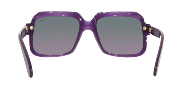 CAZAL MOD6073