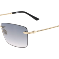 PAUL VOSHERONT PV619S