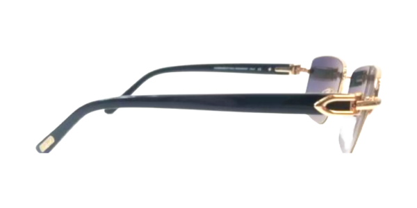 PAUL VOSHERONT PV620S