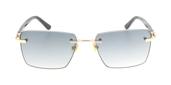 PAUL VOSHERONT PV628S