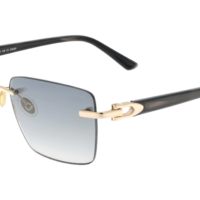 PAUL VOSHERONT PV628S