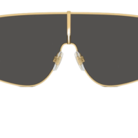 DOCLE & GABBANA DG2305