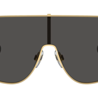 DOCLE & GABBANA DG2305