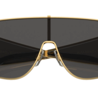 DOCLE & GABBANA DG2305