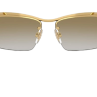 DOCLE & GABBANA DG2307