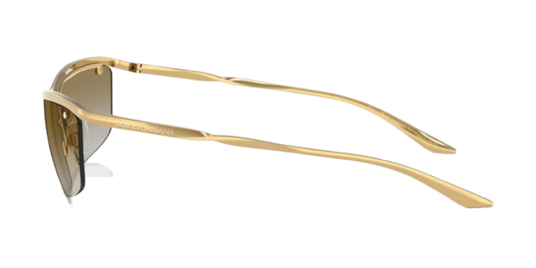 DOCLE & GABBANA DG2307