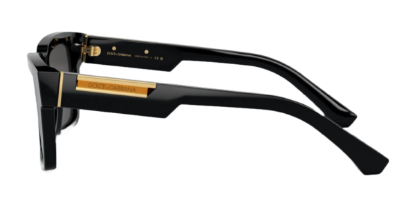 DOCLE & GABBANA DG4465