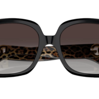 DOCLE & GABBANA DG4476