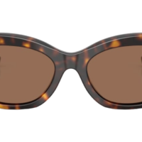DOCLE & GABBANA DG4502