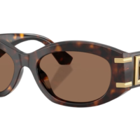 DOCLE & GABBANA DG4502