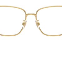 DOCLE & GABBANA DG1359