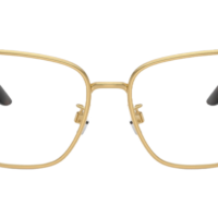 DOCLE & GABBANA DG1359