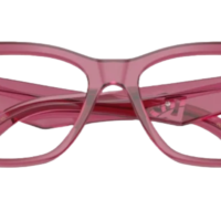 DOCLE & GABBANA DG3374