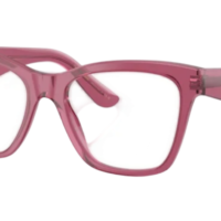 DOCLE & GABBANA DG3374