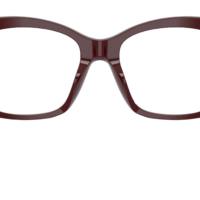 DOCLE & GABBANA DG3419