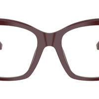 DOCLE & GABBANA DG3419