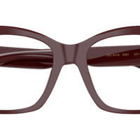 DOCLE & GABBANA DG3419