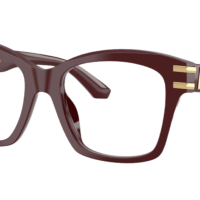 DOCLE & GABBANA DG3419