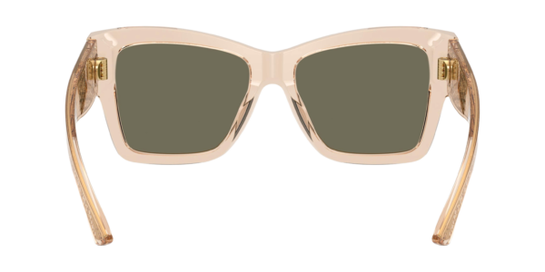 DOCLE & GABBANA DG4493