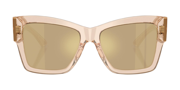 DOCLE & GABBANA DG4493