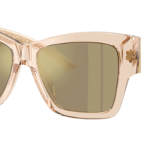 DOCLE & GABBANA DG4493