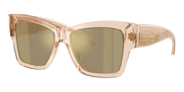 DOCLE & GABBANA DG4493