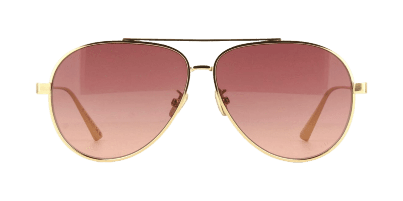 DIOR DIORCANNAGE A1U